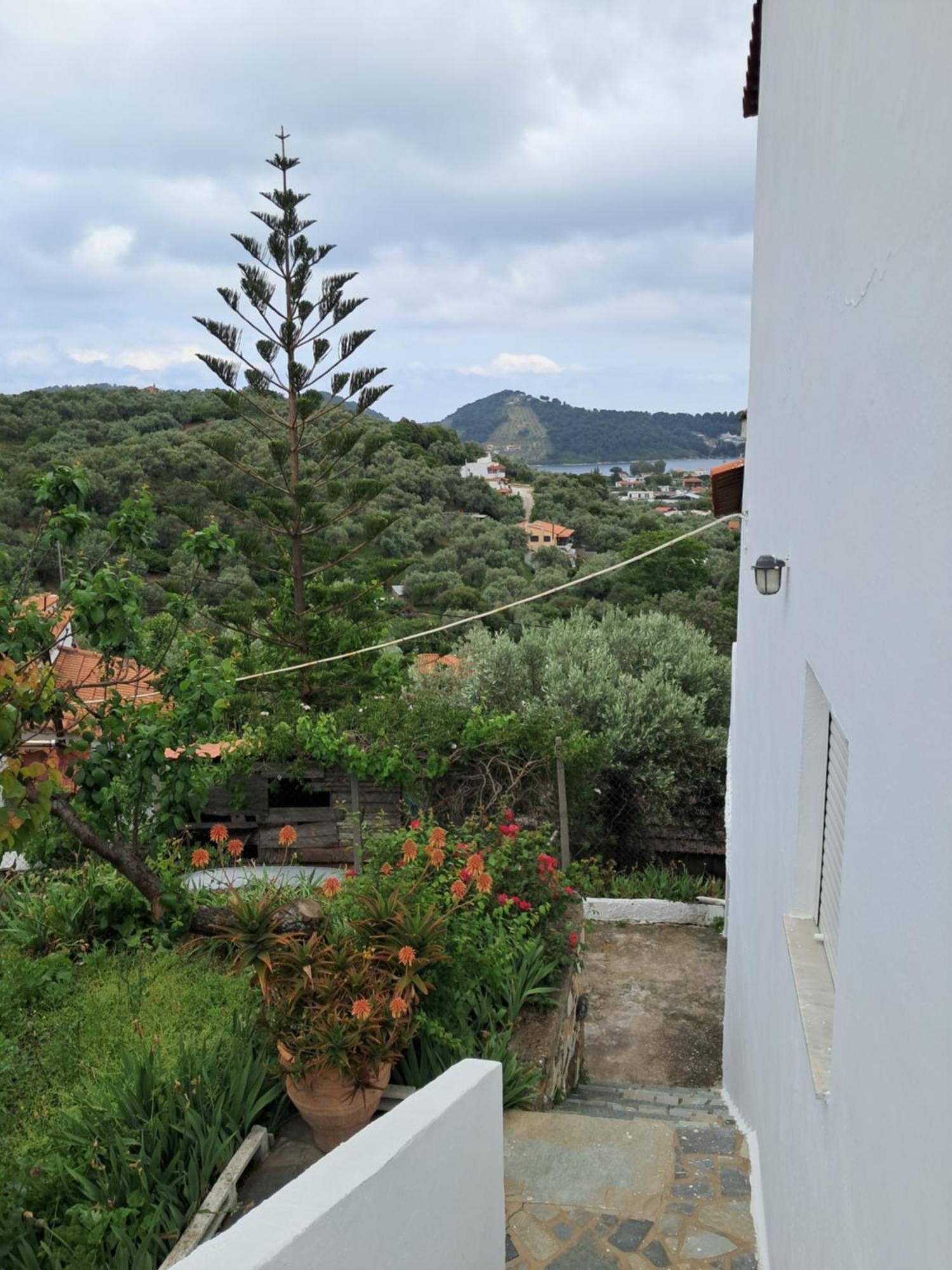 Camelia Studios Skiathos Chora Extérieur photo