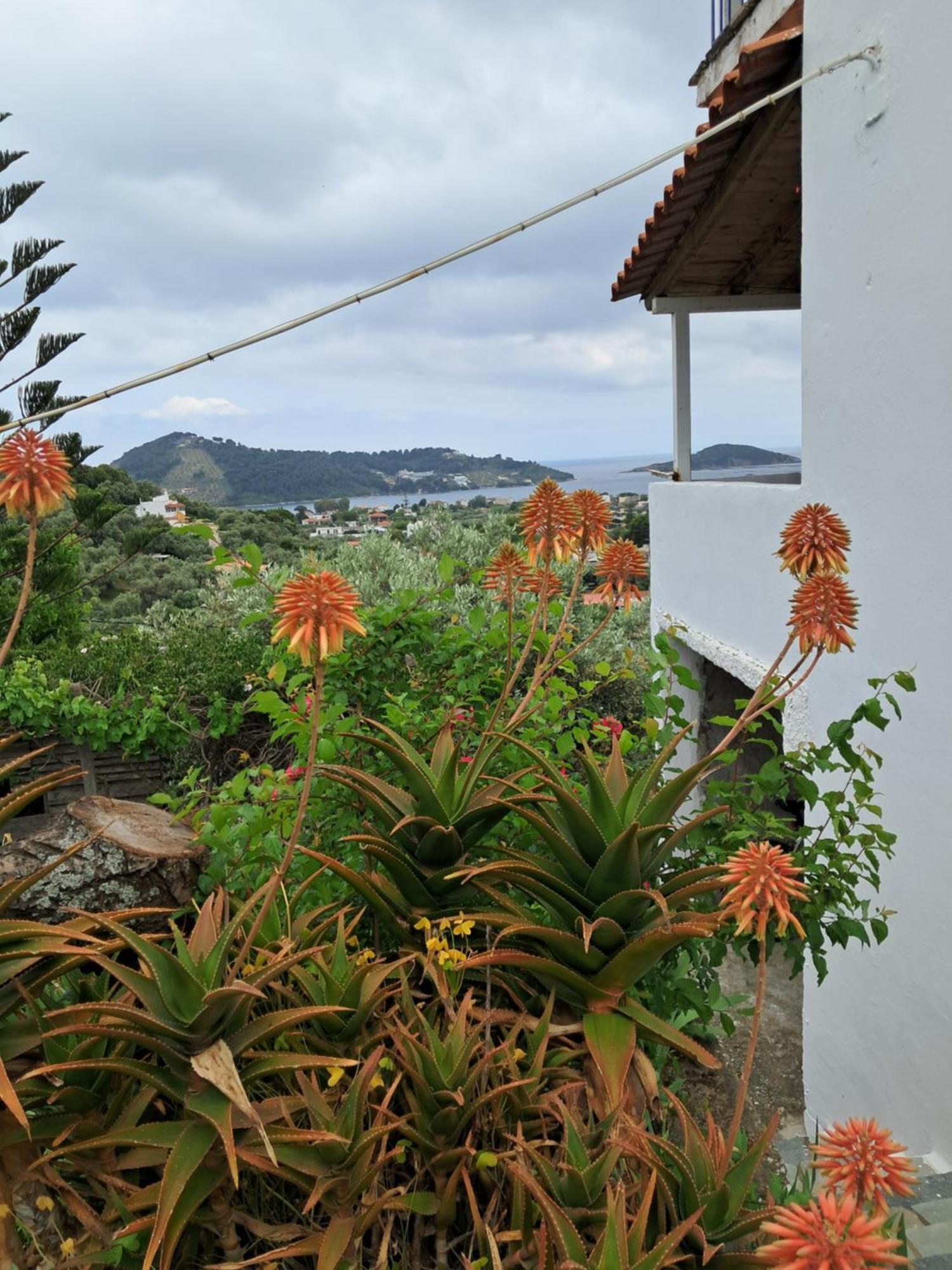 Camelia Studios Skiathos Chora Extérieur photo